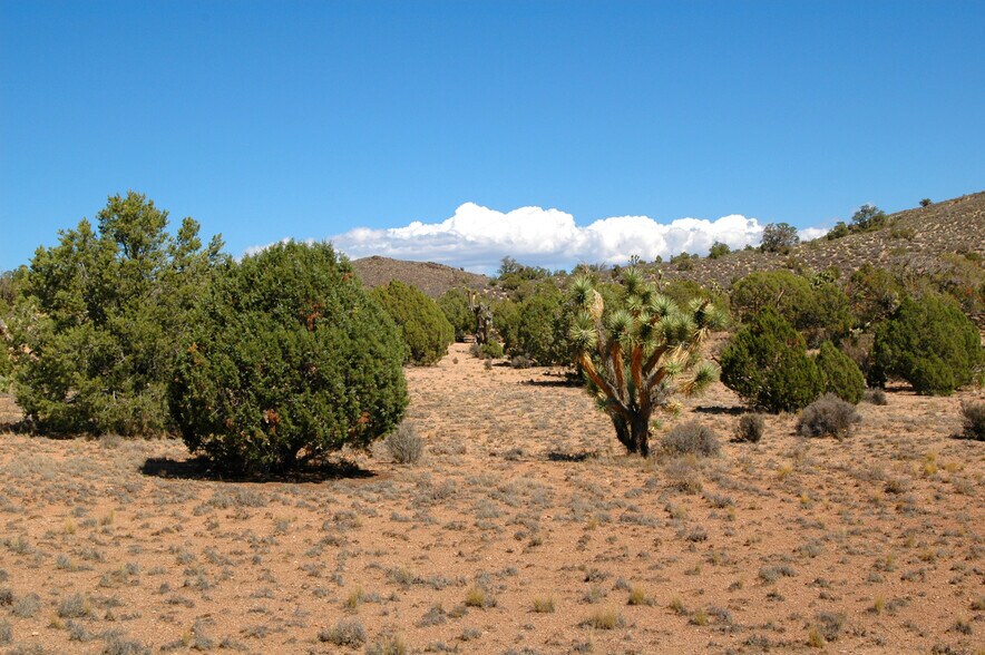 5838 E Diamond Bar Rd, Meadview, AZ for sale - Other - Image 2 of 5