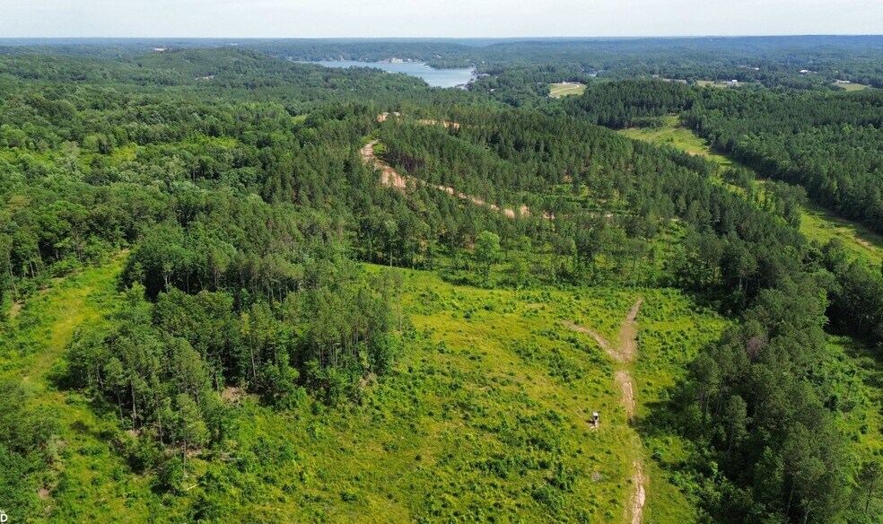 0 County Road 110, Bremen, AL for sale - Aerial - Image 2 of 16