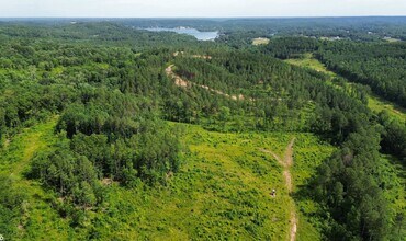 0 County Road 110, Bremen, AL - AERIAL  map view - Image1