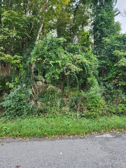 3810 Danbury Rd, Brewster Village, NY for sale - Building Photo - Image 3 of 6