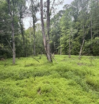 More details for 1087 Bobby Faucette Rd, Jonesville, SC - Land for Sale