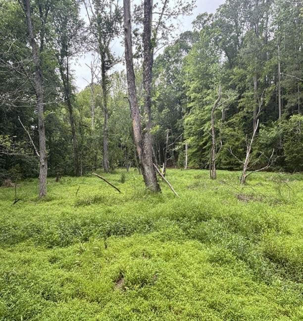 1087 Bobby Faucette Rd, Jonesville, SC for sale Other- Image 1 of 4