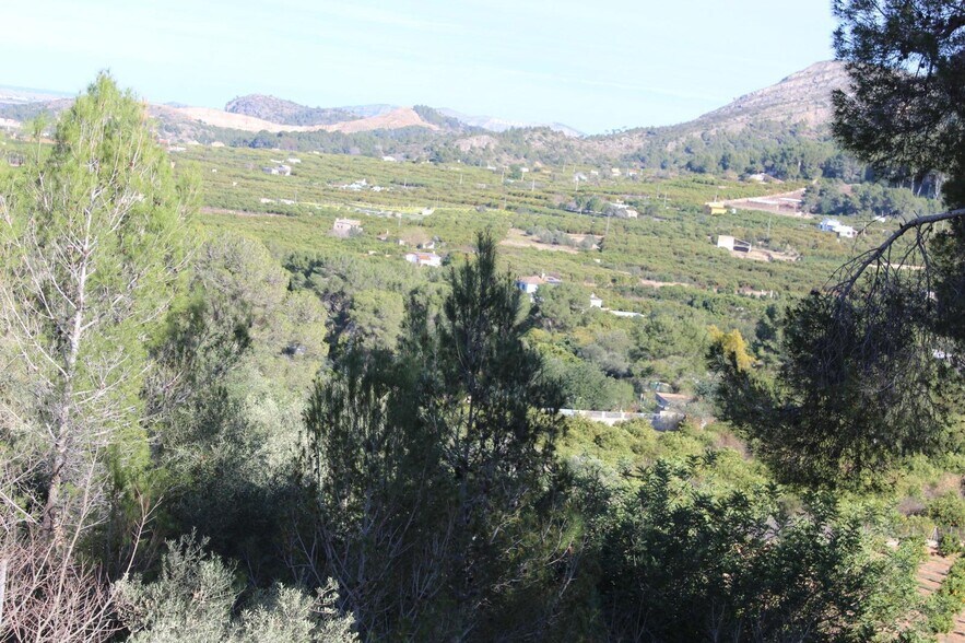 Land in Alzira, Valencia for sale - Primary Photo - Image 2 of 9