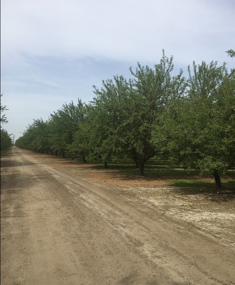 4032 W Inyo Ave, Tulare, CA for sale - Primary Photo - Image 1 of 4