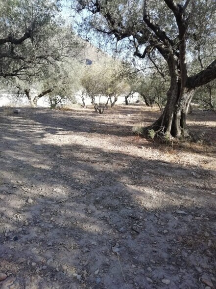 Land in Berja, Almería for sale - Primary Photo - Image 3 of 5