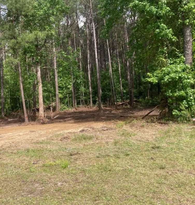 421 HWY & 210 Hwy, Currie, NC à vendre Autre- Image 1 de 5