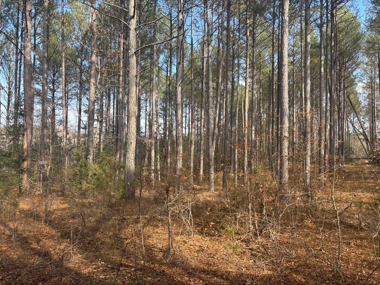 Oak Tree Dr, Honea Path, SC à vendre - Photo du bâtiment - Image 3 de 8