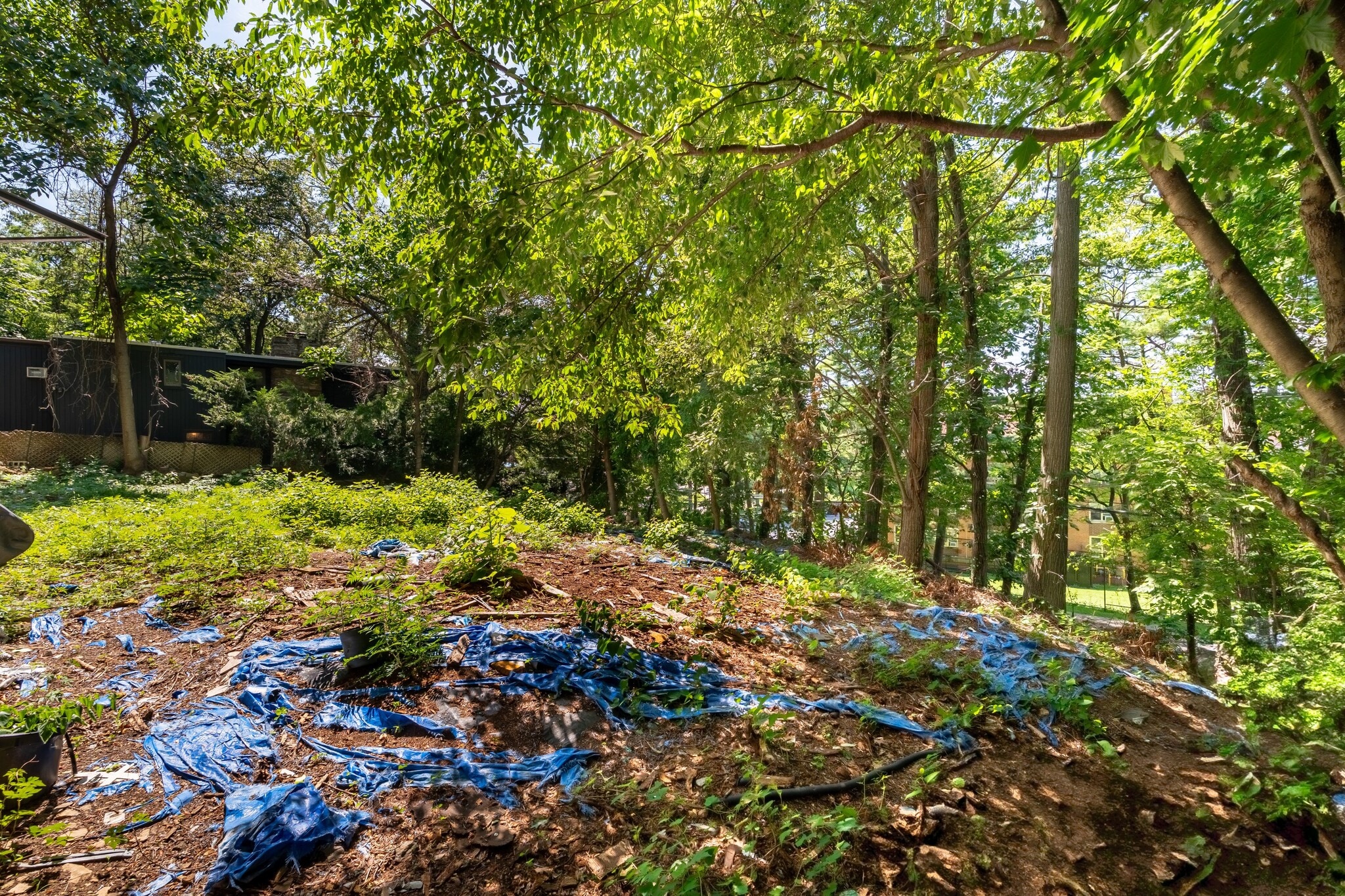 6000 Palisdale Ave, Bronx, NY à vendre Photo principale- Image 1 de 6