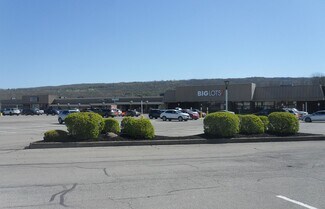 More details for 10-40 Village Plz, Dansville, NY - Retail, Flex for Lease