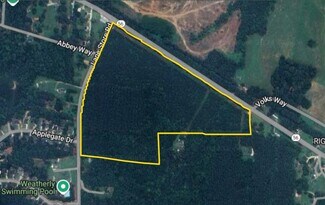 More details for 0 Lane's Store Rd, Franklinton, NC - Land for Sale