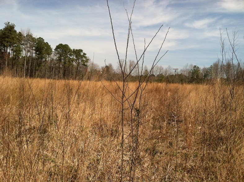 1376 Ruin Creek Rd, Henderson, NC for sale - Other - Image 3 of 5