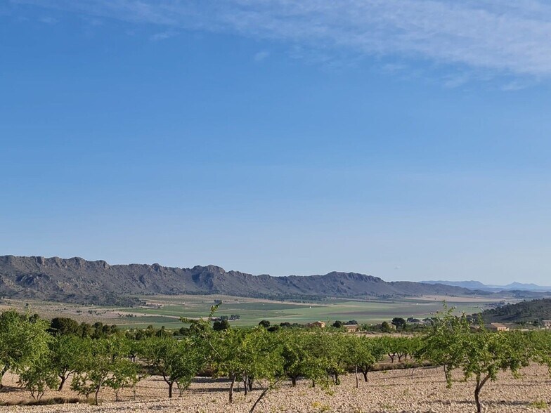 Terrain dans Yecla, Murcia à vendre - Photo principale - Image 1 de 28