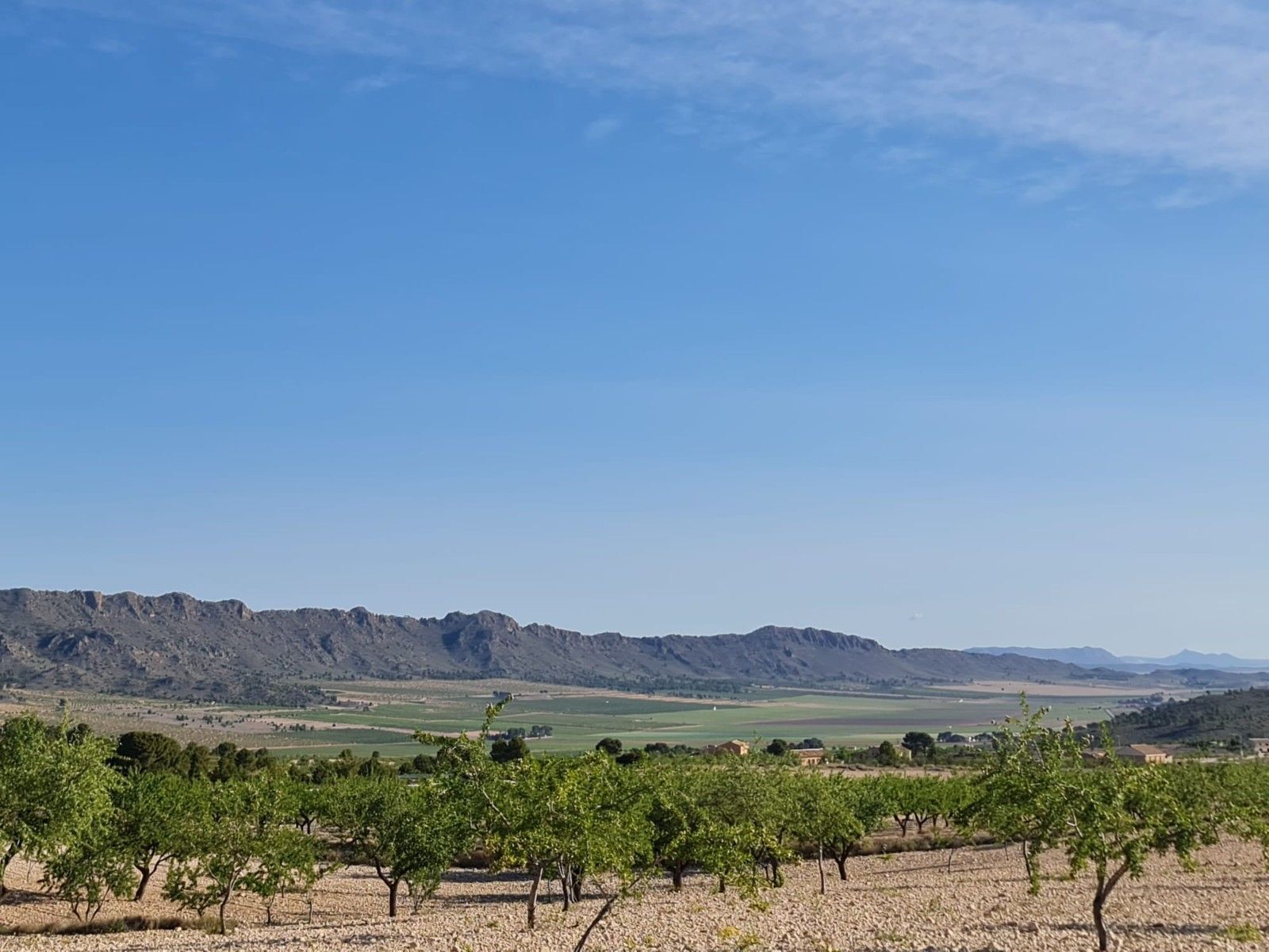 Land in Yecla, Murcia for sale Primary Photo- Image 1 of 29
