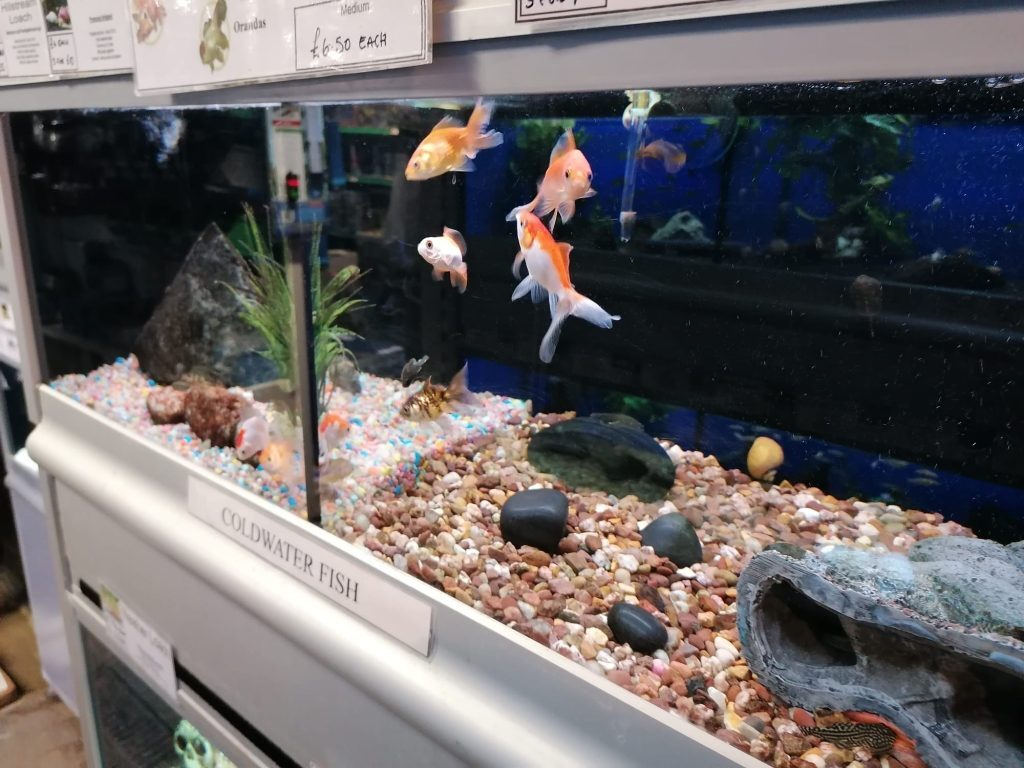 Vicarage Walk, Newport for lease Interior Photo- Image 1 of 5