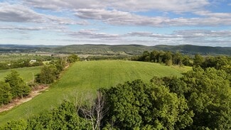 More details for 234 State Line rd, Westtown, NY - Land for Sale