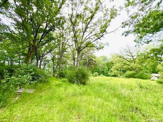 7584 NY-97, Narrowsburg, NY for sale - Building Photo - Image 3 of 10