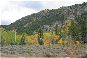 Hwy 82, Twin Lakes, CO for sale - Other - Image 2 of 7