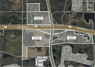 Plus de détails pour State Road 56 and Meadow Pointe Blvd. – Terrain à vendre, Wesley Chapel, FL