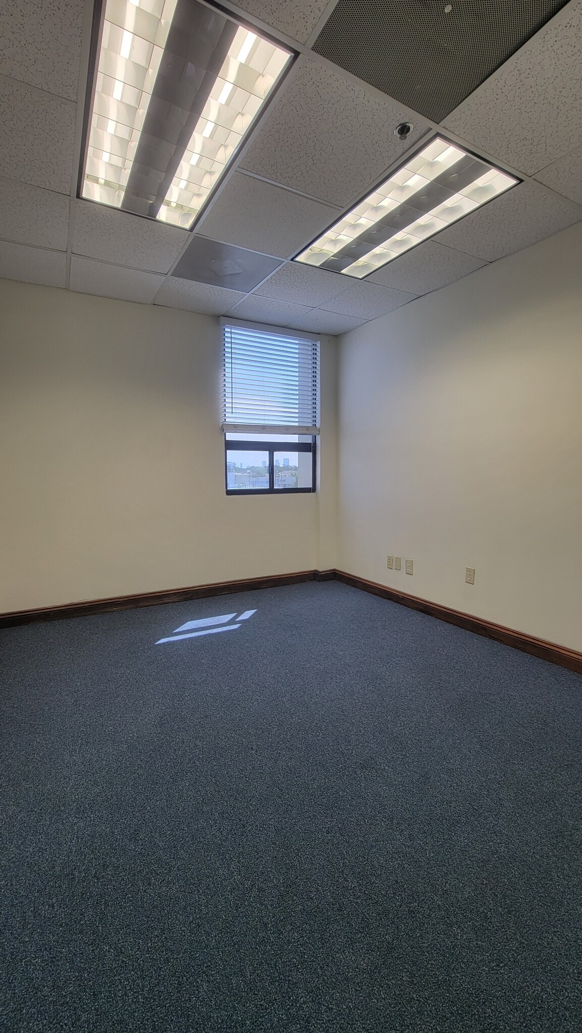 3825 Henderson Blvd, Tampa, FL for lease Interior Photo- Image 1 of 4