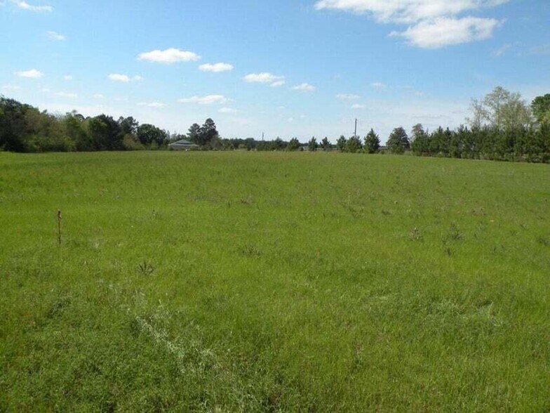 TBD Louisiana 121, Hineston, LA à vendre - Photo du bâtiment - Image 2 de 2