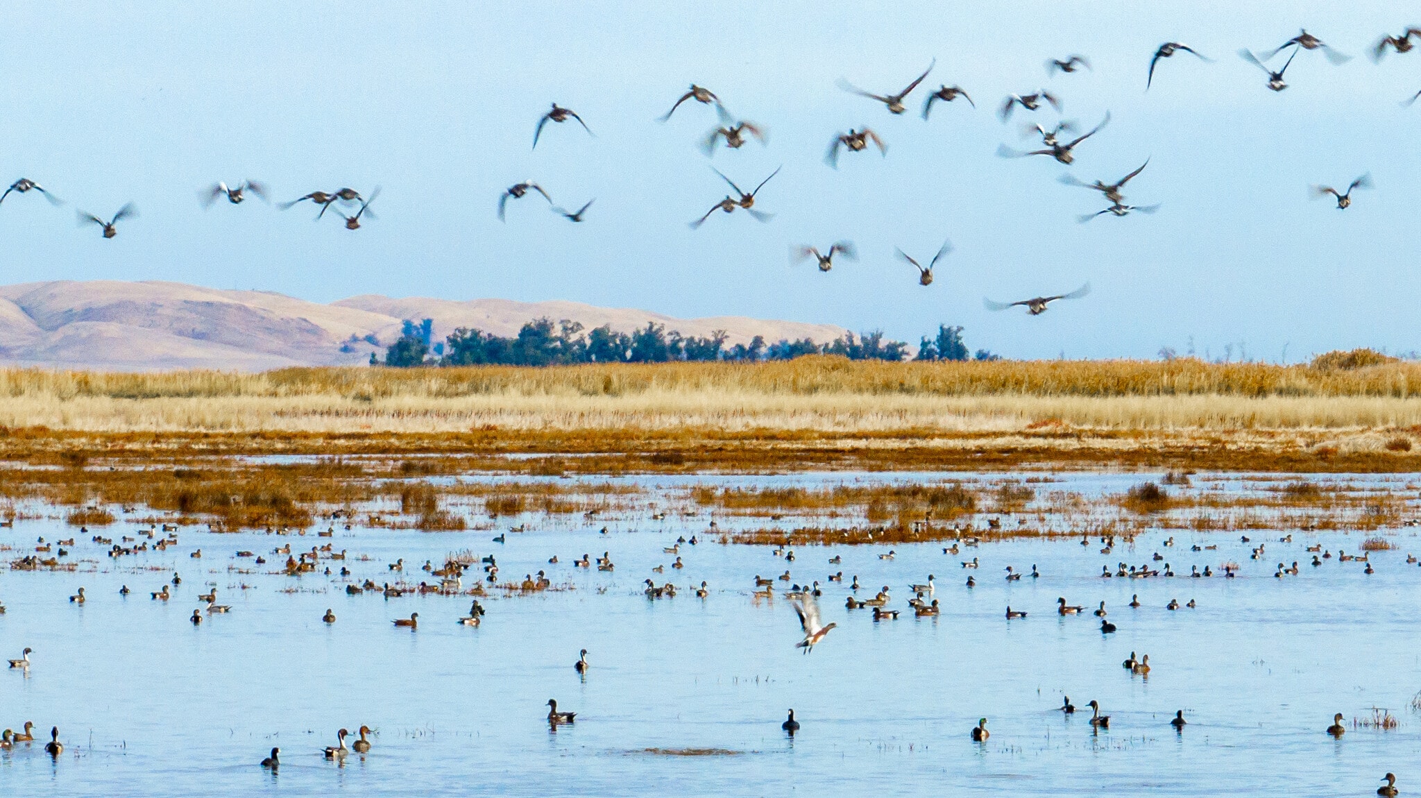 1 Pierce Lane, Benicia, CA for sale Building Photo- Image 1 of 61