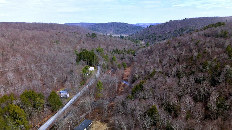 127 Blum Rd, Equinunk, PA à vendre - Vidéo sur l’inscription commerciale - Image 2 de 12