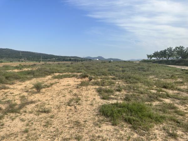 Terrain dans Salinas, Alicante à vendre - Plan de site - Image 3 de 6