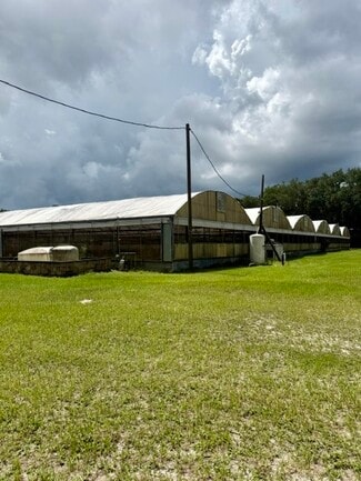 More details for 33322 County Road 437, Sorrento, FL - Specialty for Sale