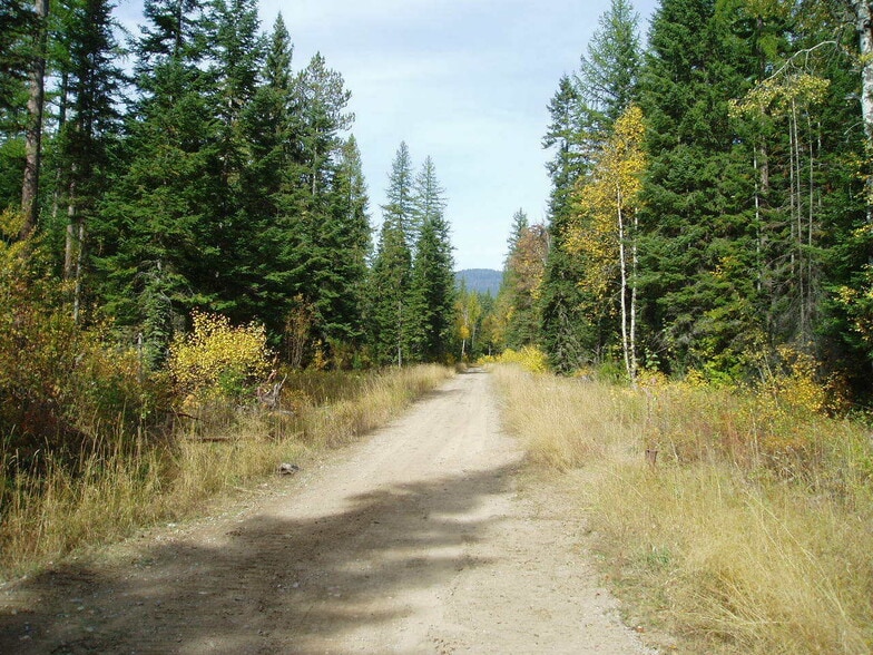 1215 Barbaras Way, Kila, MT for sale - Other - Image 3 of 4
