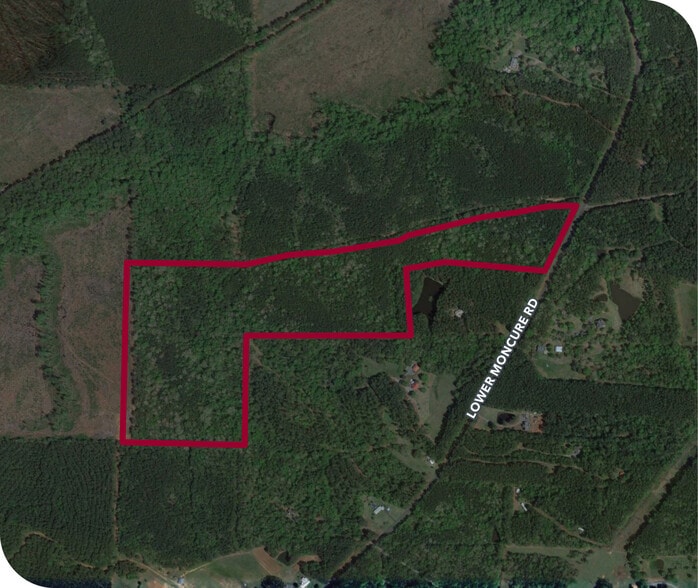 0 Lower Moncure Rd, Osgood, NC à vendre - Aérien - Image 2 de 2