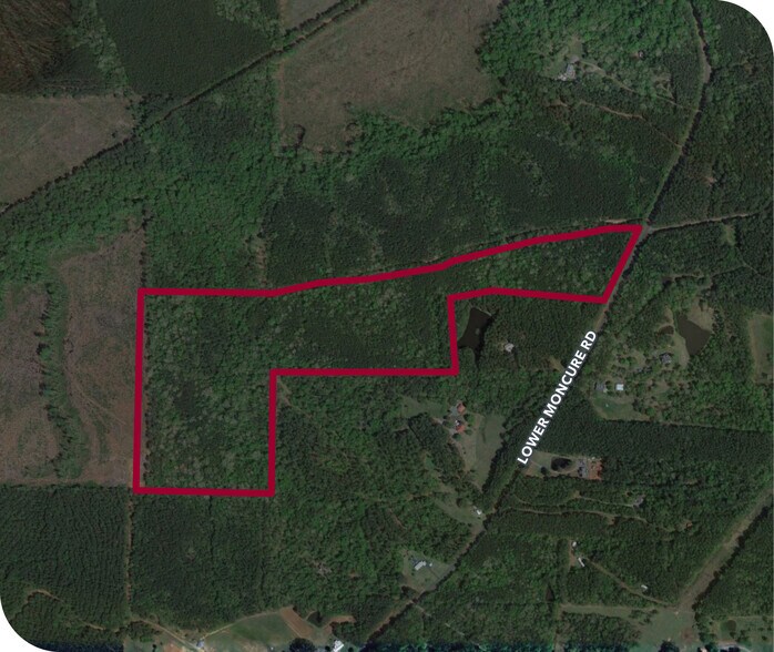 0 Lower Moncure Rd, Osgood, NC à vendre - Aérien - Image 2 de 2