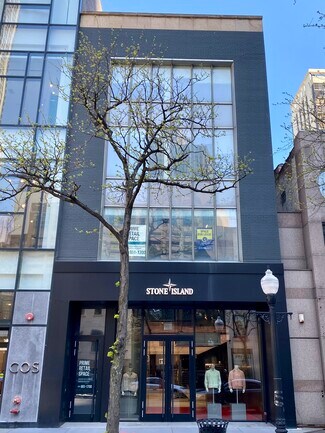 Plus de détails pour 48 E Oak St, Chicago, IL - Commerce de détail à louer