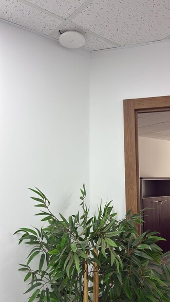 Office in València for lease - Interior Photo - Image 3 of 11