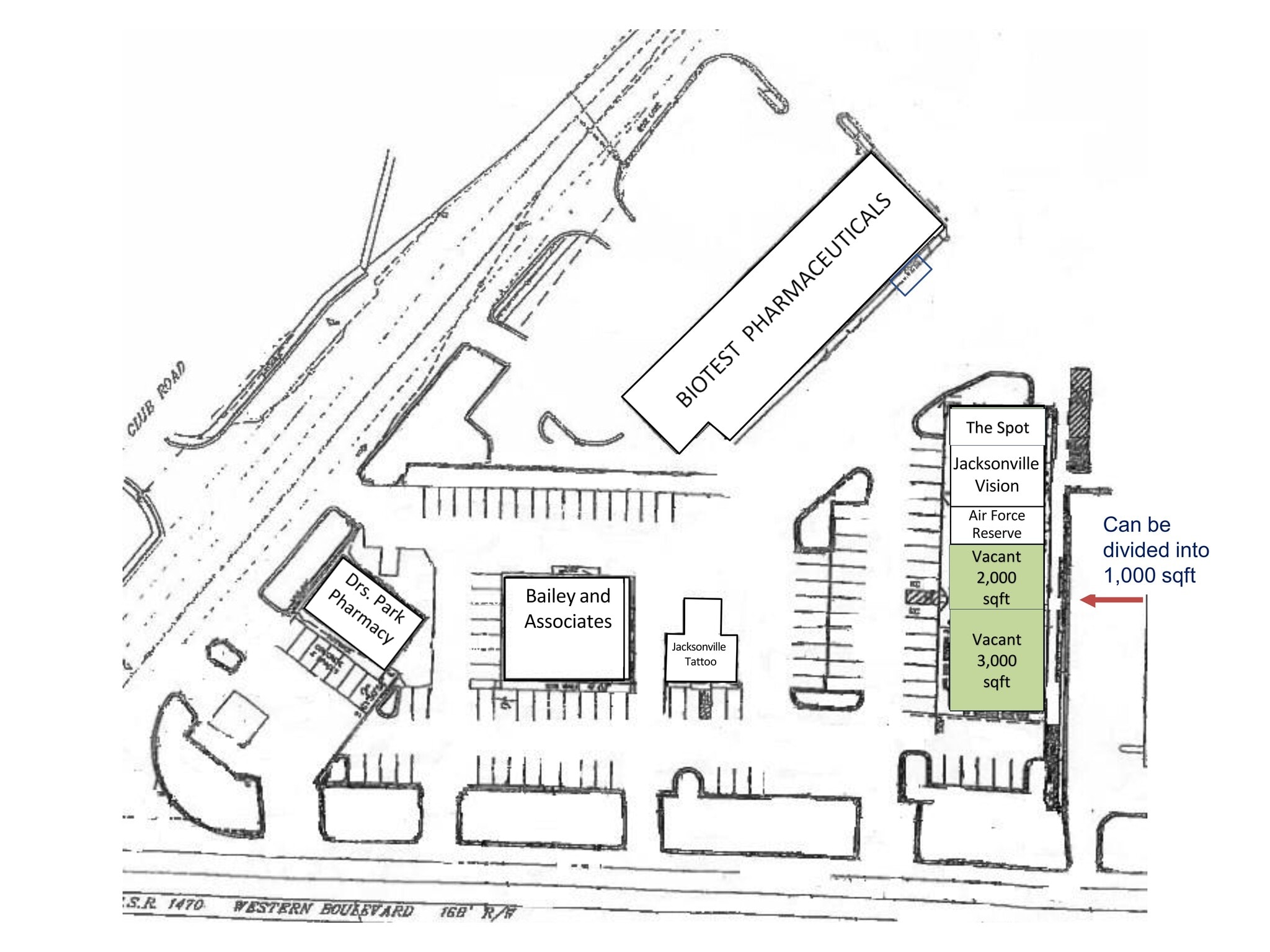 409 Western Blvd, Jacksonville, NC for lease Site Plan- Image 1 of 1