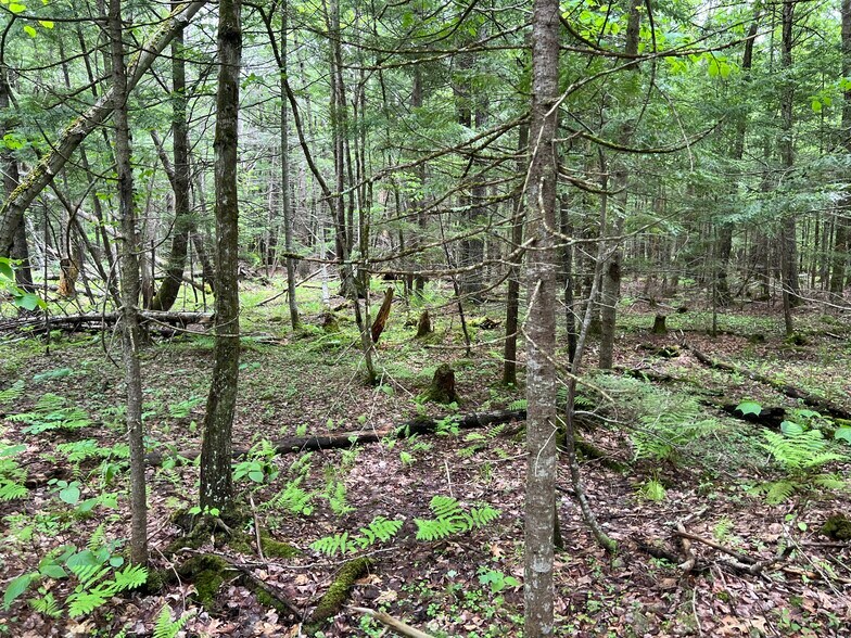 West Meadow Road, Bradford, NH à vendre - Photo du bâtiment - Image 3 de 8
