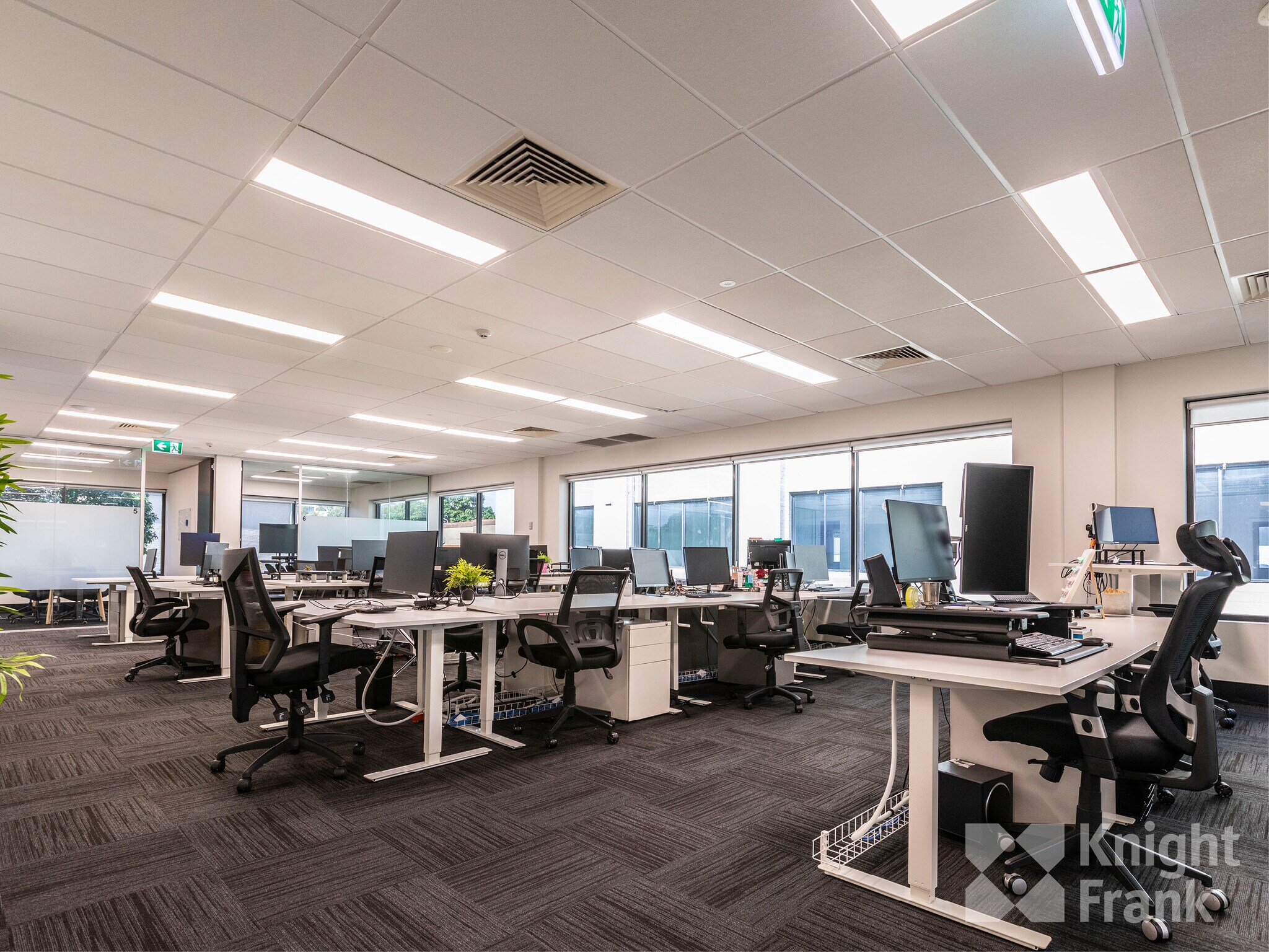 39-47 Renwick St, Redfern for lease Interior Photo- Image 1 of 10