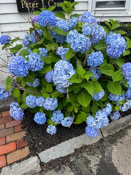 345 Boston Post Rd, Sudbury, MA for lease - Building Photo - Image 1 of 17