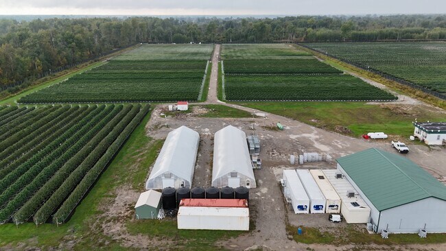 Plus de détails pour CANNABIS OUTDOOR CULTIVATION CENTER – à vendre, Alabaster, MI