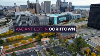 Plus de détails pour 1450 6th St, Detroit, MI - Terrain à vendre