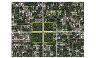 Plus de détails pour 2850 W Price Blvd, North Port, FL - Terrain à vendre