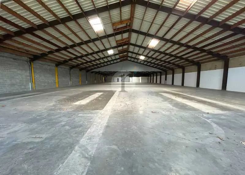 Flex in Neuville-en-Ferrain for lease Building Photo- Image 1 of 6