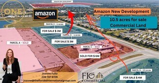 Plus de détails pour Jones Loop & Piper Rd, Punta Gorda, FL - Terrain à vendre