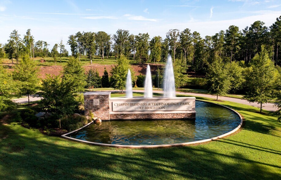 301 Brighton Blvd, Chapin, SC à vendre - Photo principale - Image 1 de 15