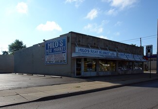 Plus de détails pour 4506 Lewis Ave, Toledo, OH - Commerce de détail à louer