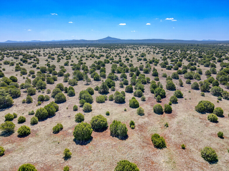 TBD Penrod Road, Show Low, AZ à vendre - Photo principale - Image 1 de 10