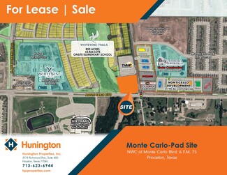 Plus de détails pour NWC Of Monte Carlo Boulevard & FM 75, Princeton, TX - Terrain à vendre