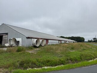 Plus de détails pour 7193 Bullbegger Rd, Withams, VA - Terrain à vendre