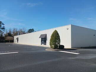 Plus de détails pour 300 Commerce Center Dr, Brunswick, GA - Industriel à vendre