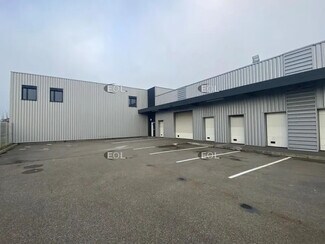 Plus de détails pour 2 Rue De Rome, Brunstatt-Didenheim - Industriel à louer