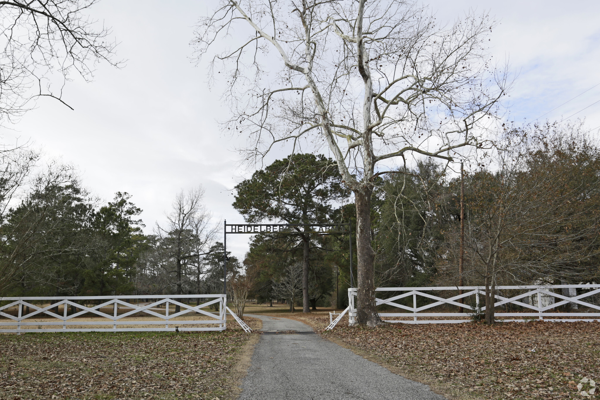 1623 Riley Fuzzell Rd, Spring, TX for sale Primary Photo- Image 1 of 1